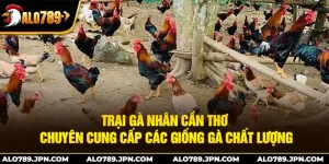 Trại Gà Nhân Cần Thơ: Chuyên cung cấp giống gà chất lượng