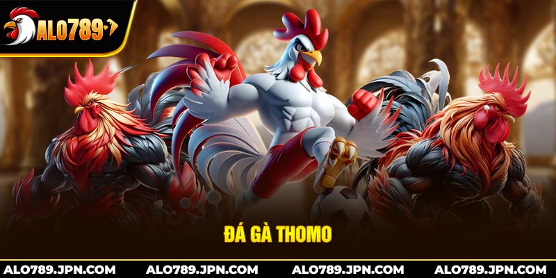 Đá Gà Thomo Là Gì? – Cuộc Chơi Đầy Hấp Dẫn Tại Campuchia 1 Đá Gà Thomo Là Gì? – Cuộc Chơi Đầy Hấp Dẫn Tại Campuchia